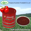 400g*24tins Canned 100% pure aseptic tomato paste to north america