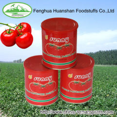 400g*24tins Canned 100% pure tomato paste