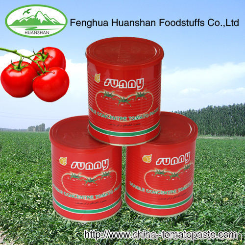 400g*24tins Canned 100% pure tomato paste