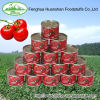 140G*50tins cooking canned tomato paste
