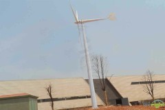 Low speed wind generator with good quality