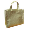 Nonwoven Recycle Lamination Bag
