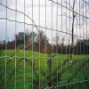 wire fencing