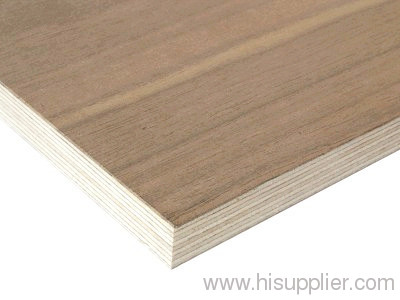 veneer plywood