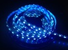 Bule led strip DC12V 5050 60 LED/M