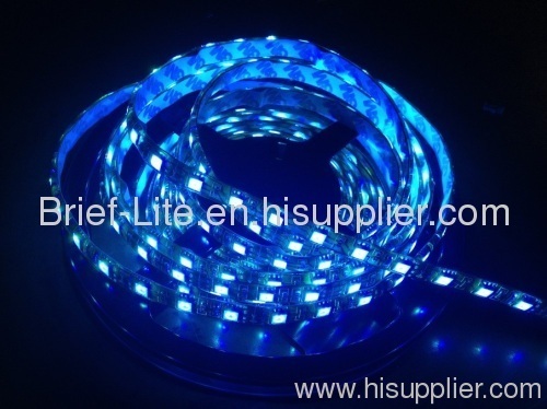 Bule led strip DC12V 5050 60 LED/M