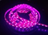 DC12V led strip 5050 60LED/M green