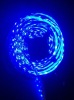 LED strip 3528 60led/m blue color