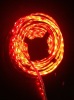 LED strip 3528 60led/m Red color