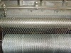 Chicken wire mesh galvanized