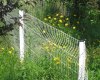 Garden Fence