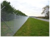 Chain Link Fence used in Garden