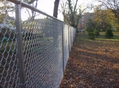 Garden Fence/ Security Fence