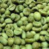 Green coffee extract