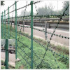 Fence-Barbed Wire