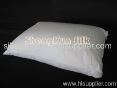 Silk Pillow with Cotton Cover