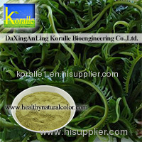 Wakame Extract (5%-10% Fucoxanthin)