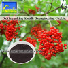 Sell Elderberry Extract (5%-70% Anthocyanin)