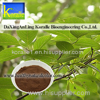 Chlorogenic Acid(Green Coffee Bean Extract)
