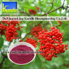 Elderberry Extract Powder(Ratio Extract Powder)