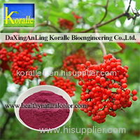 Elderberry Extract Powder(Ratio Extract Powder)