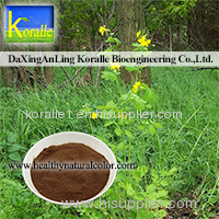 Celandine Extract(98% Chelidonine)