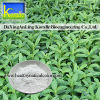 Stevia Extract (Stevioside; RebaudiosideA)