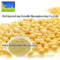 Soybean Extract (20%-40% Soybean Isoflavones)