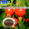 Rose Hip Extract