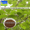 Chlorogenic Acid(Green Coffee Bean Extract)