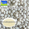 White Kidney Bean Extract