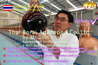 agarwood oil-alosewood oil