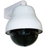 Indoor/Outdoor Dummy Camera(with LED light)