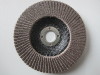 flap wheels unmounted wheels