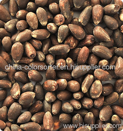 Cotton seeds 5000*3 CCD color sorter