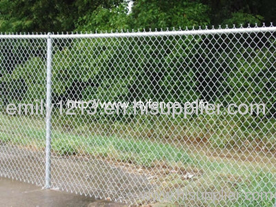 chain link wire mesh