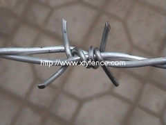 Hot-dipped barbed wire