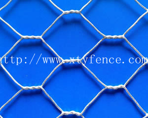 chicken wire mesh