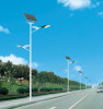 60w Solar Street Light LED 10m Pole