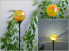 Glass Ball Solar Stick Light