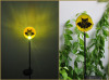 Halloween Solar Stick Light