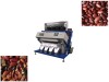 Red bean high capacity CCD color sorter