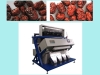 Dates Accurate recognition 5000*3 CCD color sorter