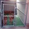 indoor dog kennels
