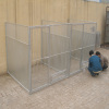 round steel bar welding dog kennel