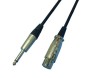 MIC Cable