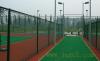 Sports field fence