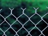 Chain Link Fence