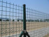 Electric Welded Wire Mesh