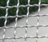 Weaving Square Wire Mesh (Electro Galvanized)